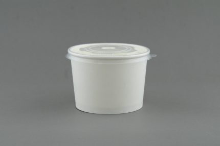 Paper Bowl