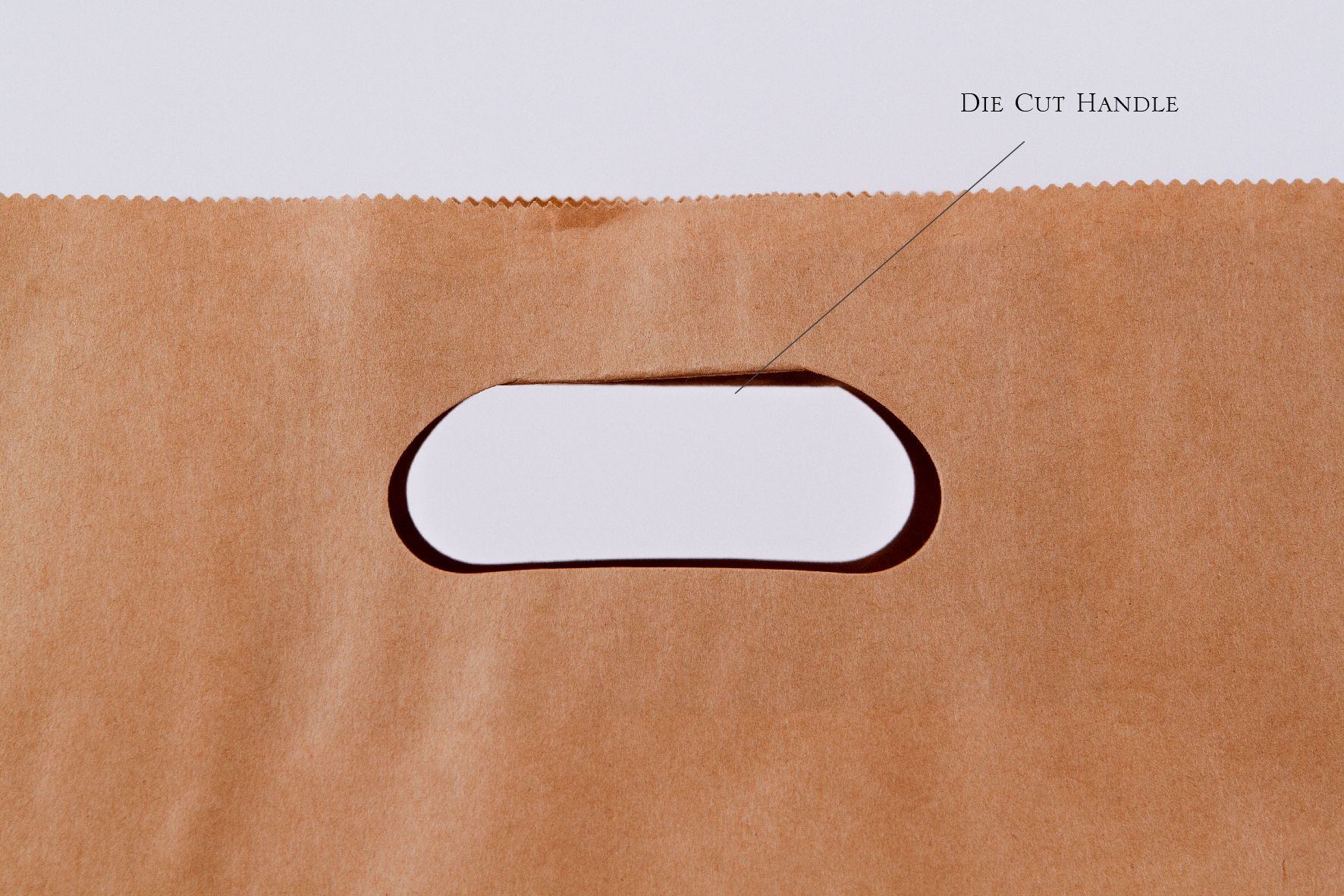 Paper-D-Bag-June-05